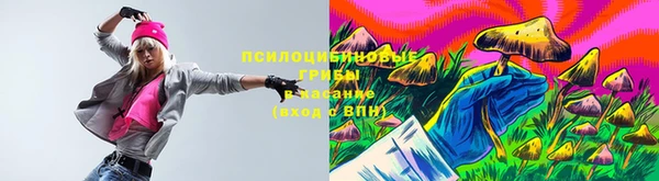 амф Бронницы