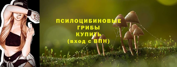метадон Богородицк