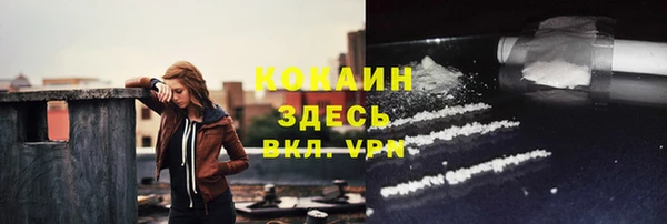 индика Бугульма