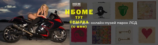 PSILOCYBIN Бородино