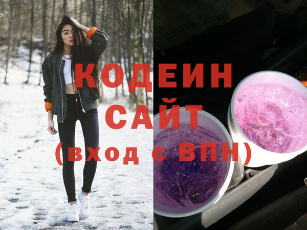 индика Бугульма