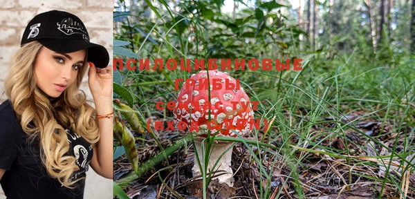 индика Бугульма
