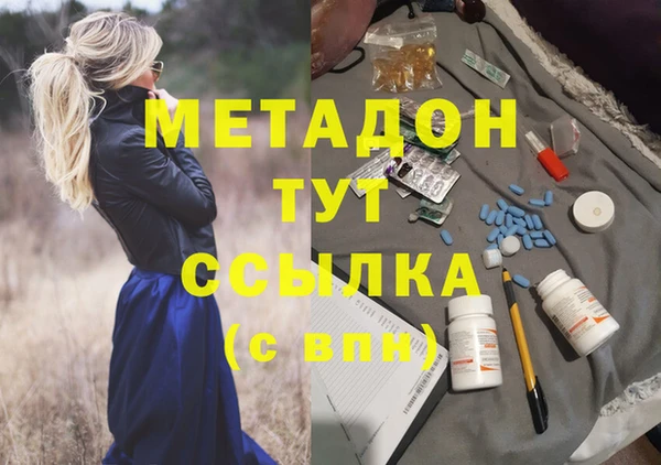 PSILOCYBIN Бородино