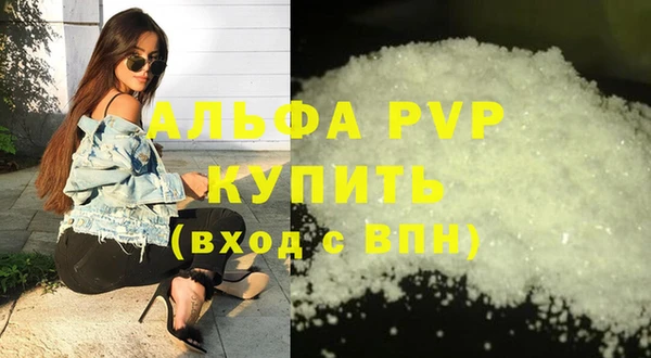 индика Бугульма