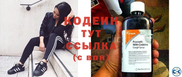 индика Бугульма