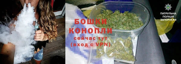 PSILOCYBIN Бородино