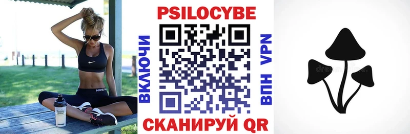 хочу   Калач  blacksprut ссылки  Псилоцибиновые грибы Psilocybine cubensis 